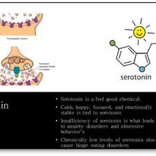 Info graphic about serotonin